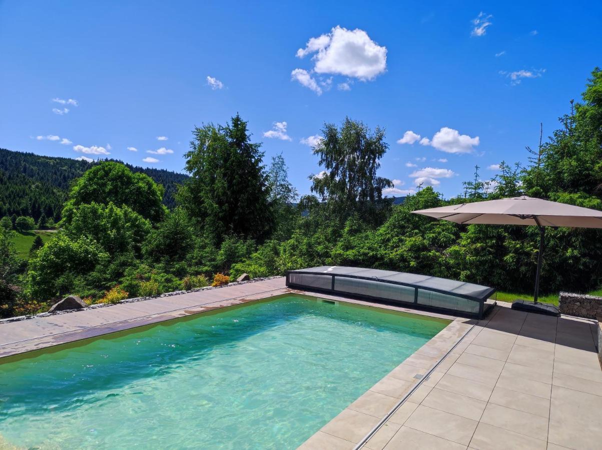 Le Cerf, Cocooning Avec Piscine Et Billard Ban-sur-Meurthe-Clefcy